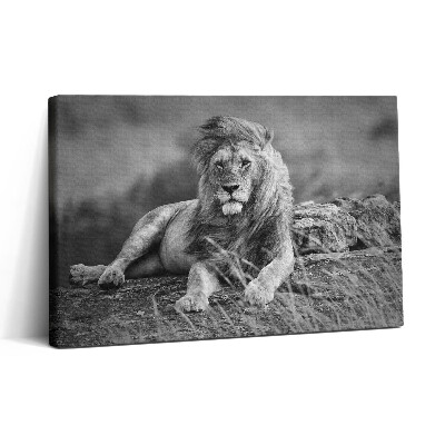 Tablou canvas 30x20 Leul animal maiestuos