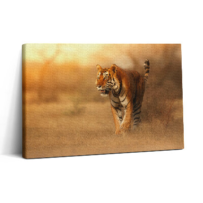 Tablou canvas 30x20 Tigru sălbatic la vânătoare