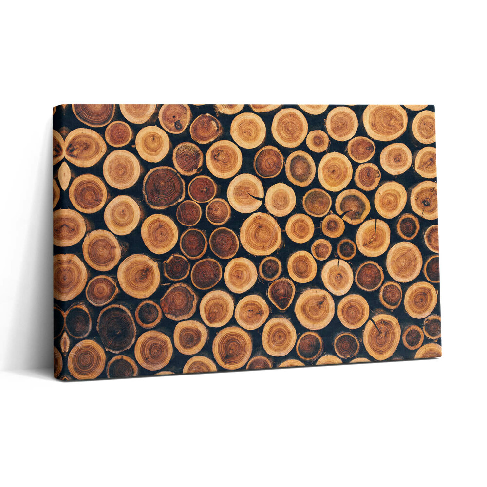 Tablou canvas 30x20 Trunchiuri de copaci din lemn