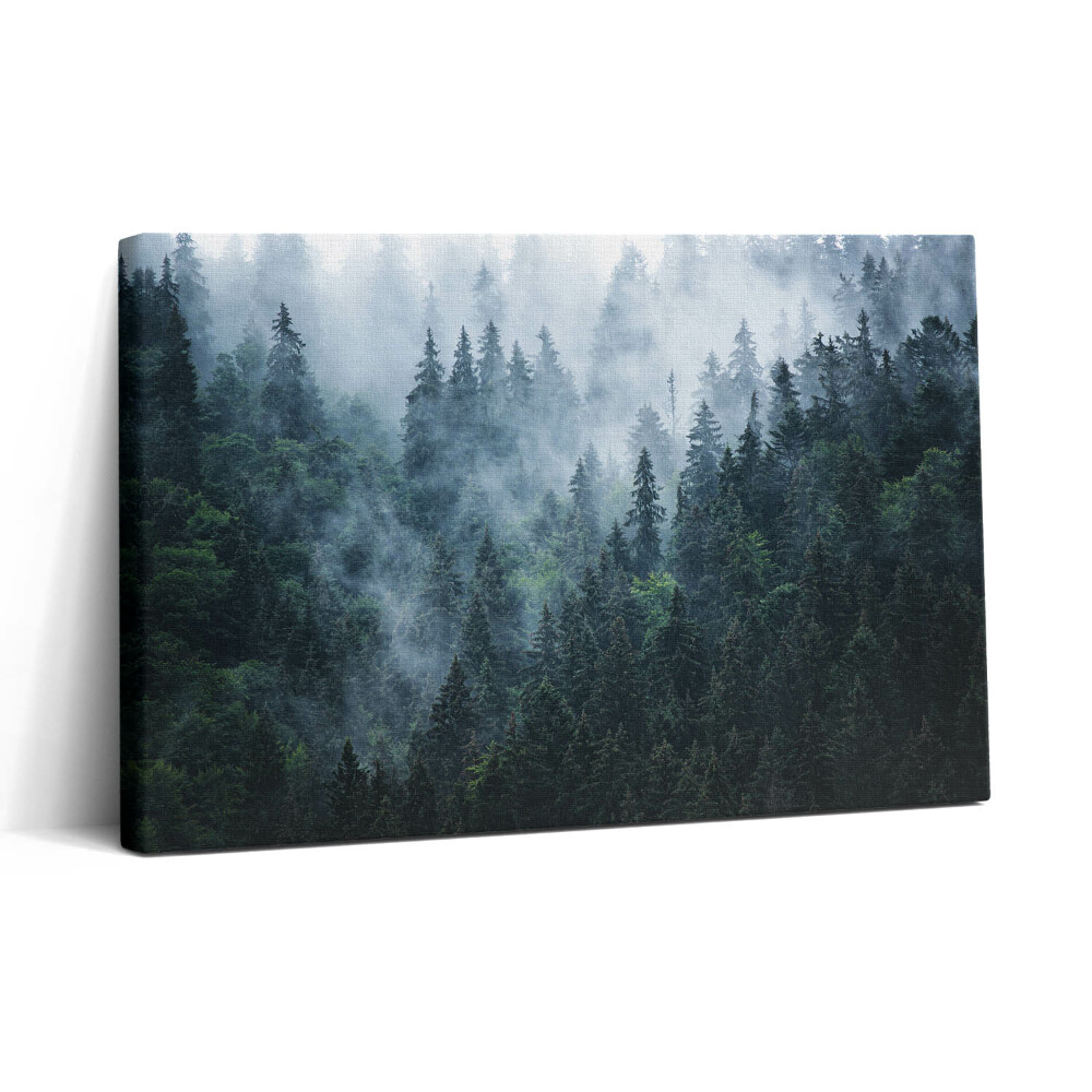 Tablou canvas 30x20 Peisaj montan încețoșat