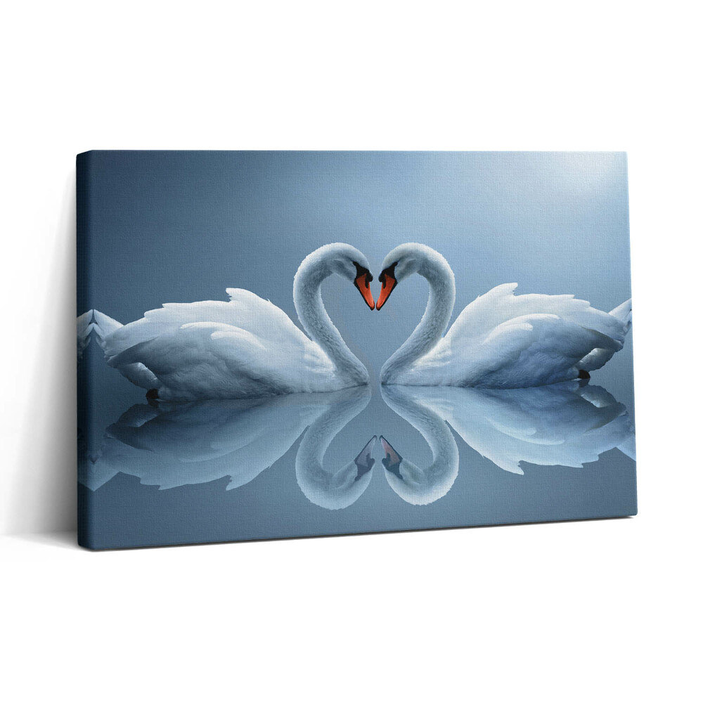 Tablou canvas 30x20 Lebede aranjate ca semn al iubirii