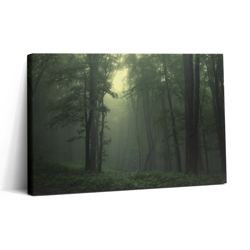 Tablou canvas 30x20 Pădurea încețoșată dimineața