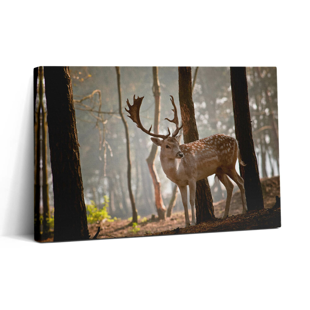 Tablou canvas 30x20 Cerbi în strălucirea soarelui care răsare