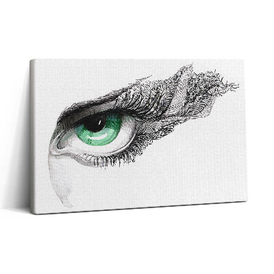 Tablou canvas 30x20 Abstracția ochiului uman