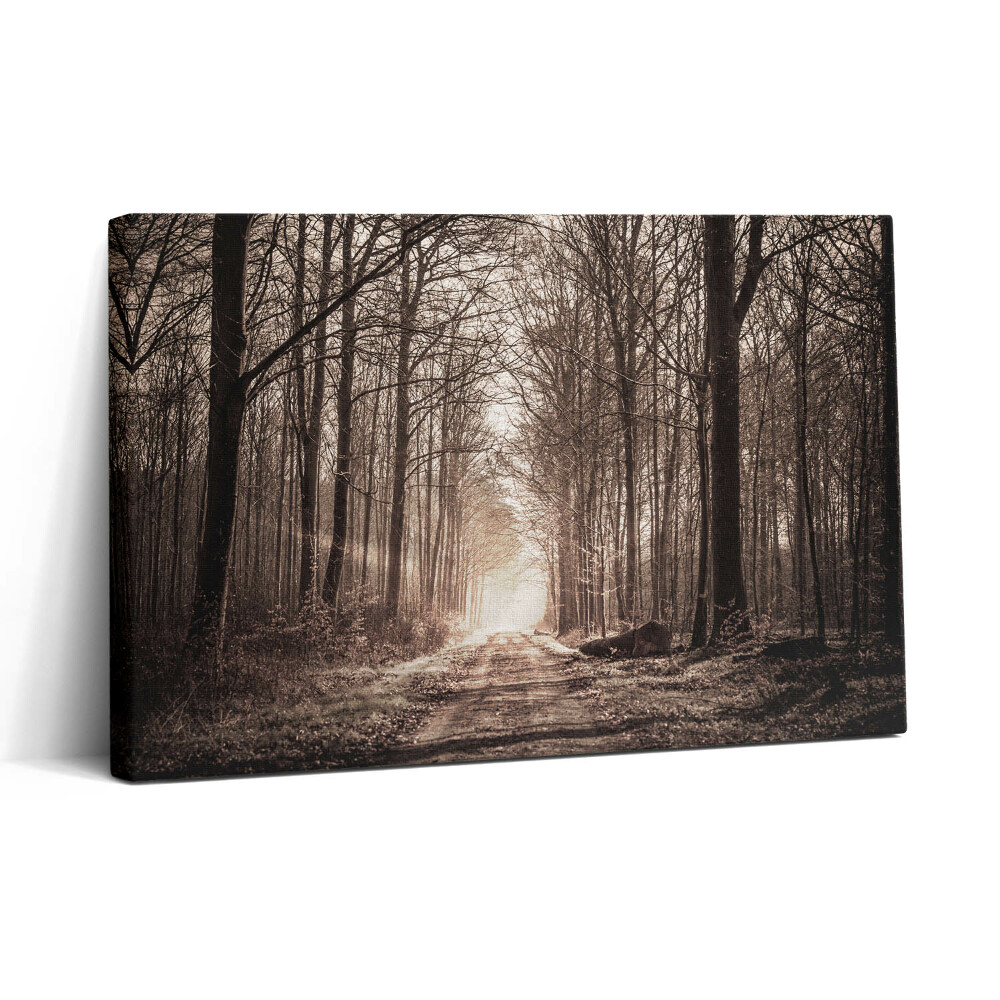 Tablou canvas 30x20 Cale de pădure în tonuri sepia
