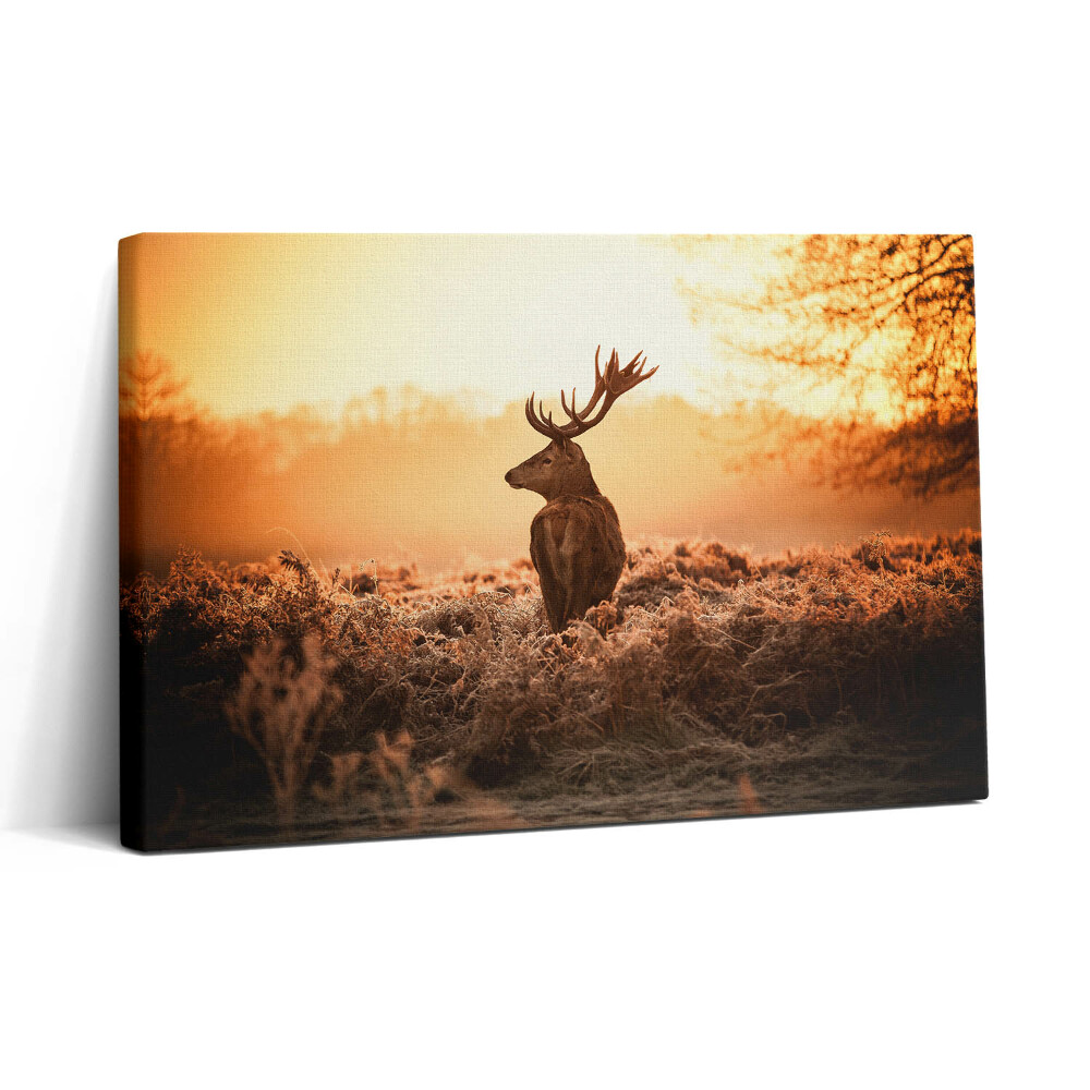 Tablou canvas 30x20 Cerb la răsărit