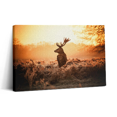 Tablou canvas 30x20 Cerb la răsărit