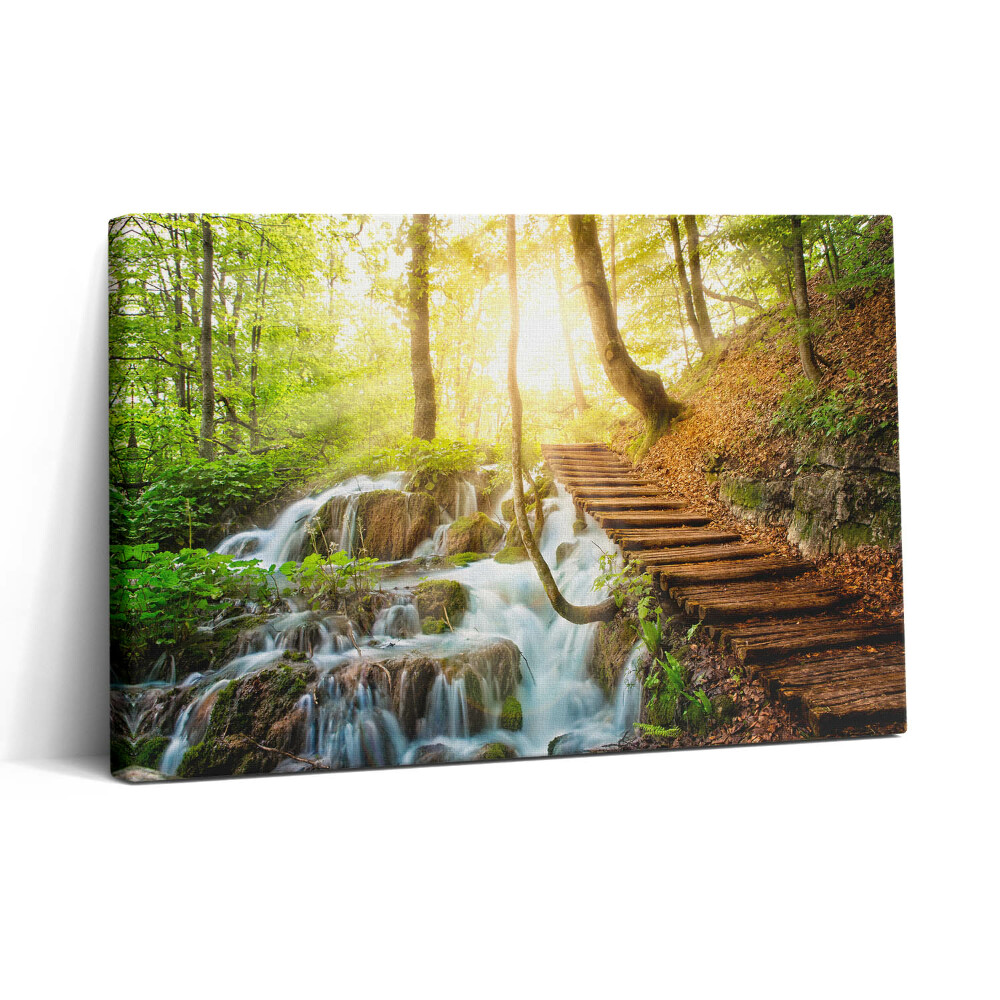 Tablou canvas 30x20 Pârâu și scări în pădure