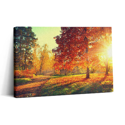 Tablou canvas 30x20 Parc de toamnă