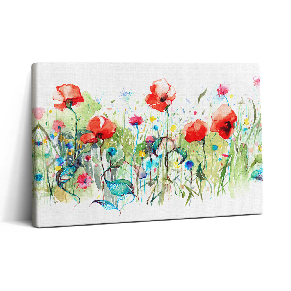 Tablou canvas 30x20 Maci în pajiște