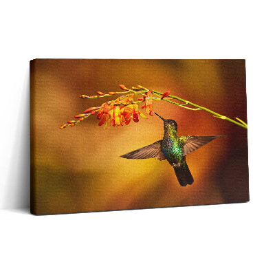 Tablou canvas 30x20 Colibri