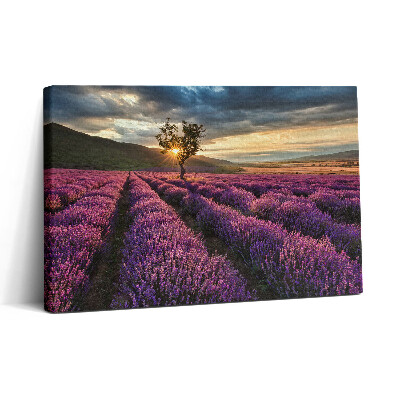 Tablou canvas 30x20 Peisaj de câmp de lavandă