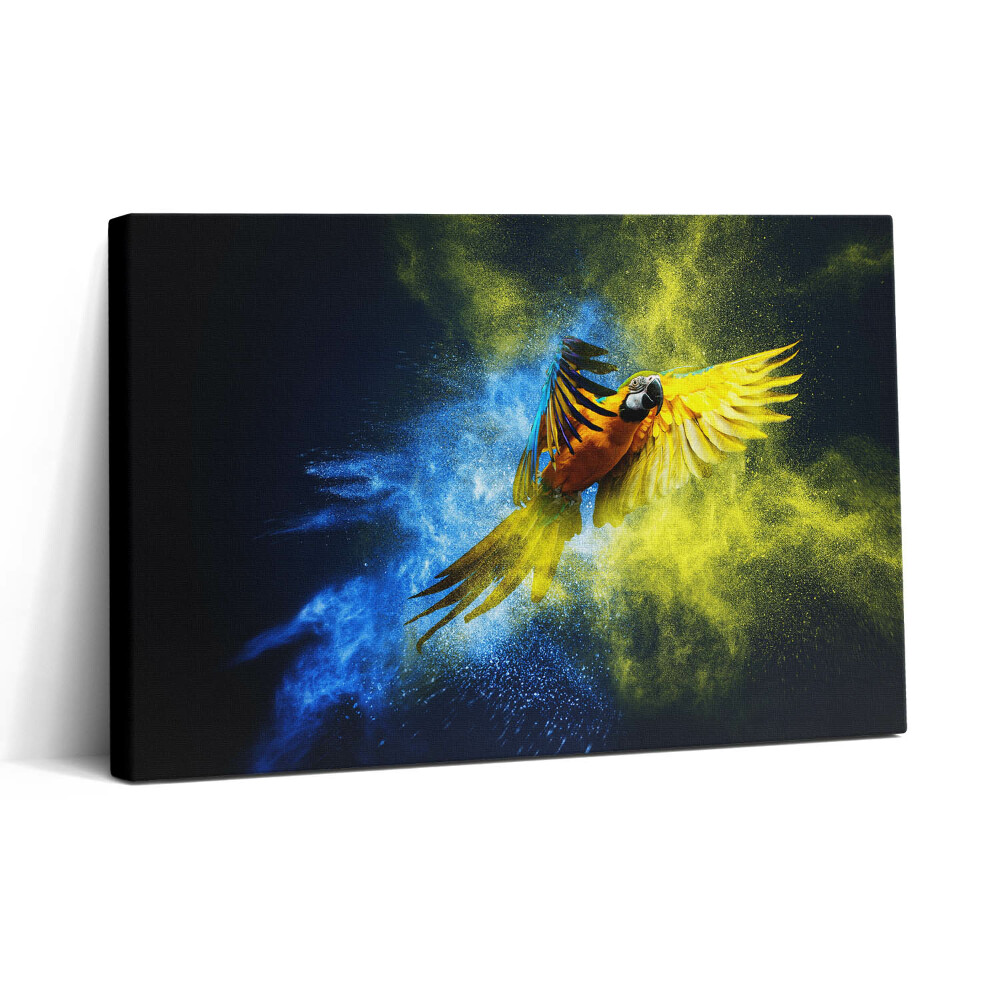 Tablou canvas 30x20 Papagal colorat