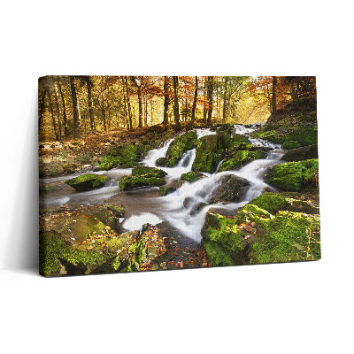 Tablou canvas 30x20 Un pârâu în pădurea de toamnă