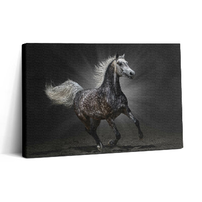 Tablou canvas 30x20 Calul galopant