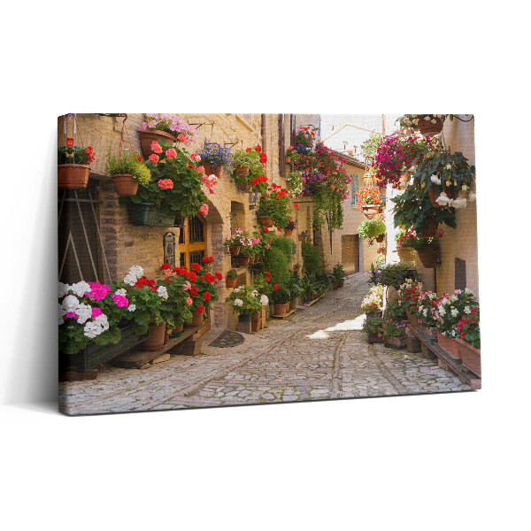 Tablou canvas 30x20 Aleea florilor