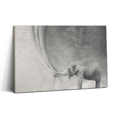 Tablou canvas 30x20 Elefantul din spatele cortinei