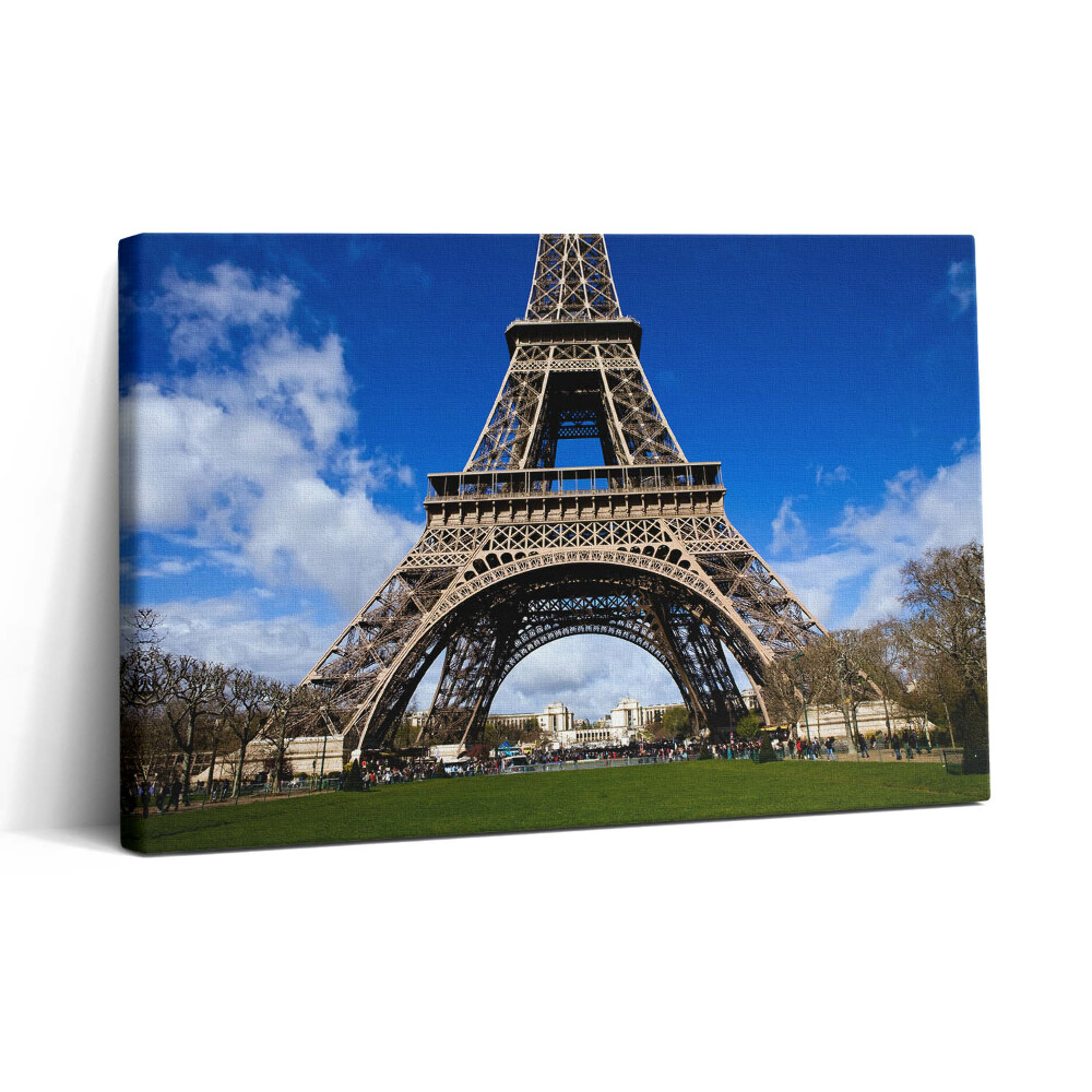 Tablou canvas 30x20 Turnul Eiffel din Paris