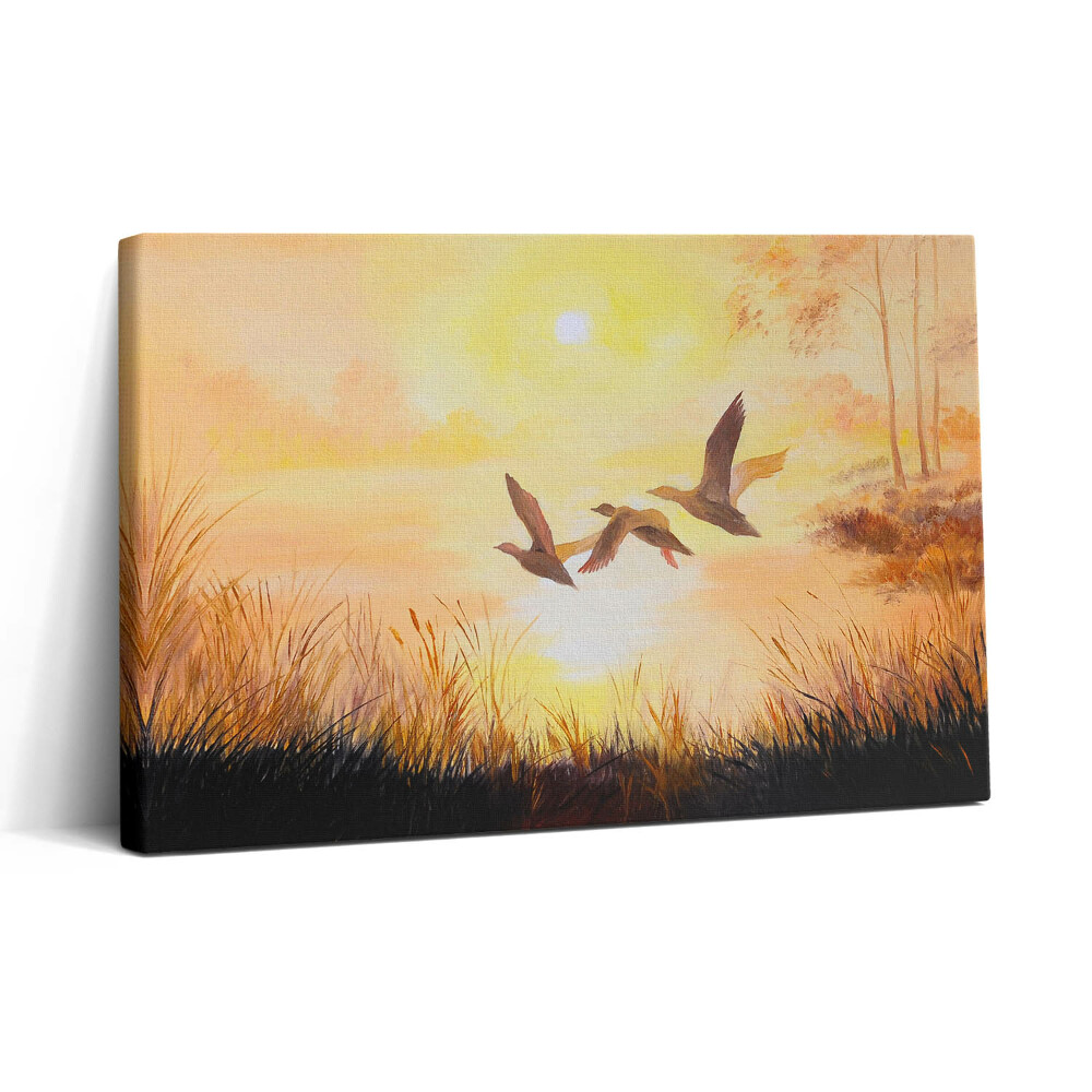 Tablou canvas 30x20 Macarale la apus