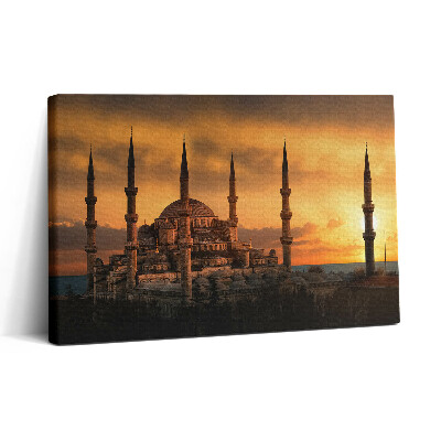 Tablou canvas 30x20 Moscheea din Istanbul