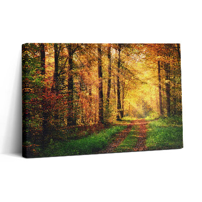Tablou canvas 30x20 Peisaj de pădure de toamnă
