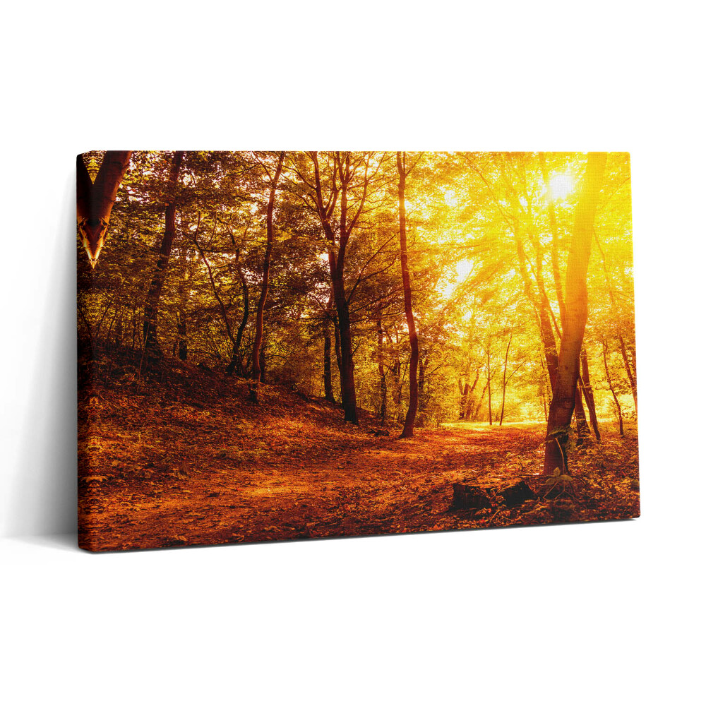 Tablou canvas 30x20 Peisaj apus de soare de toamnă