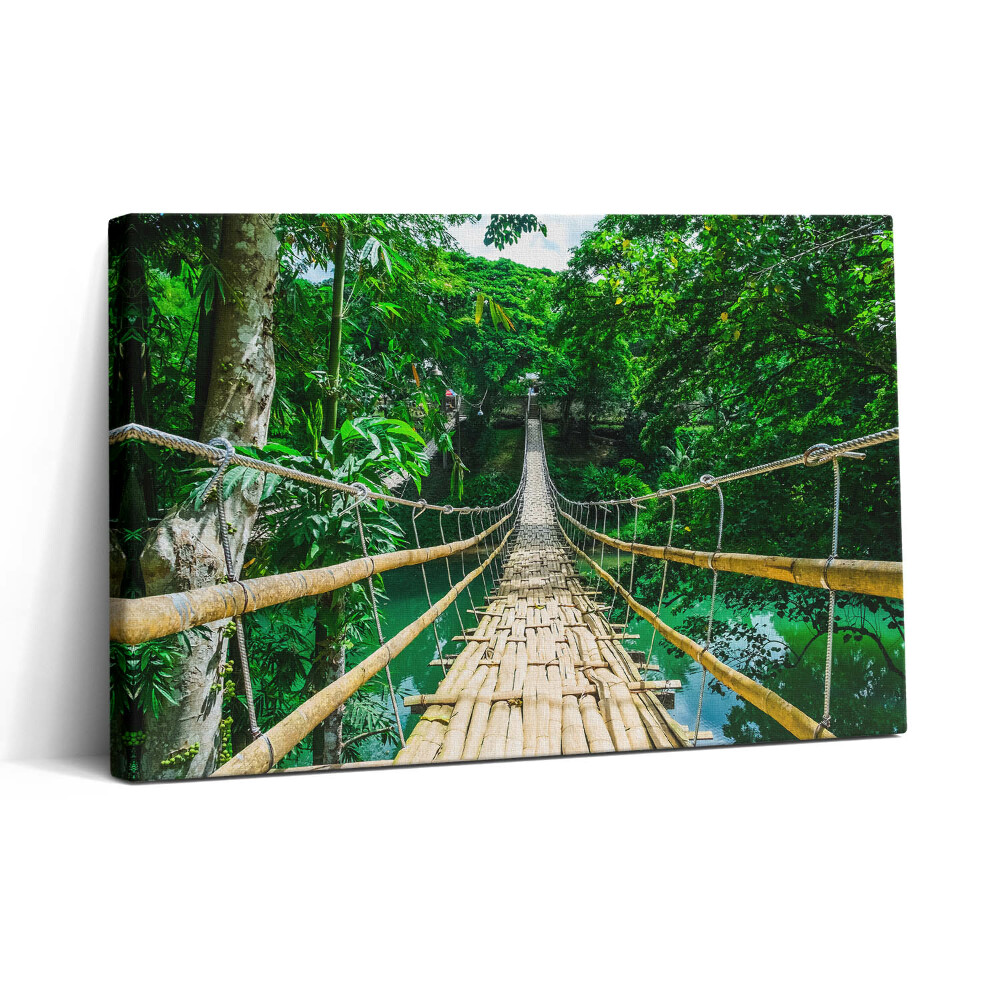 Tablou canvas 30x20 Un pod în pădurea din Filipine