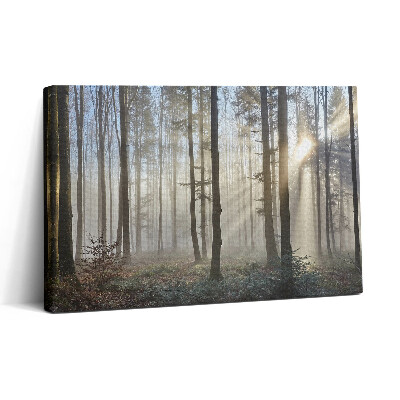 Tablou canvas 30x20 Pădurea în ceață