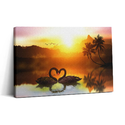 Tablou canvas 30x20 Frumoasă lebădă neagră pe lac