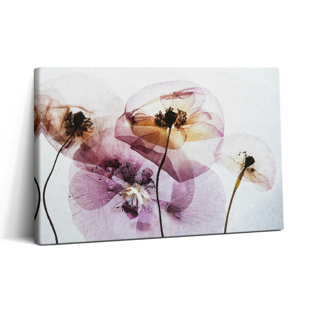 Tablou canvas 30x20 Flori de mac uscate