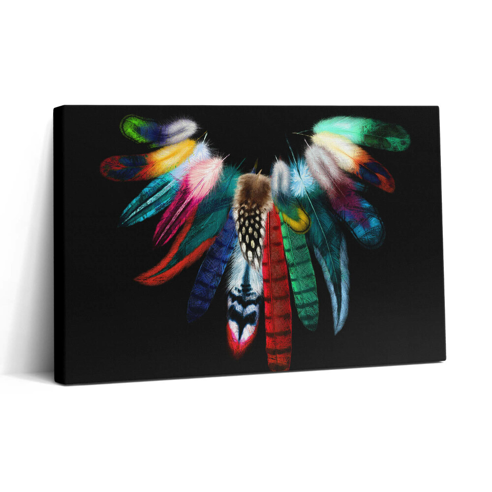 Tablou canvas 30x20 Pene de pasăre colorate