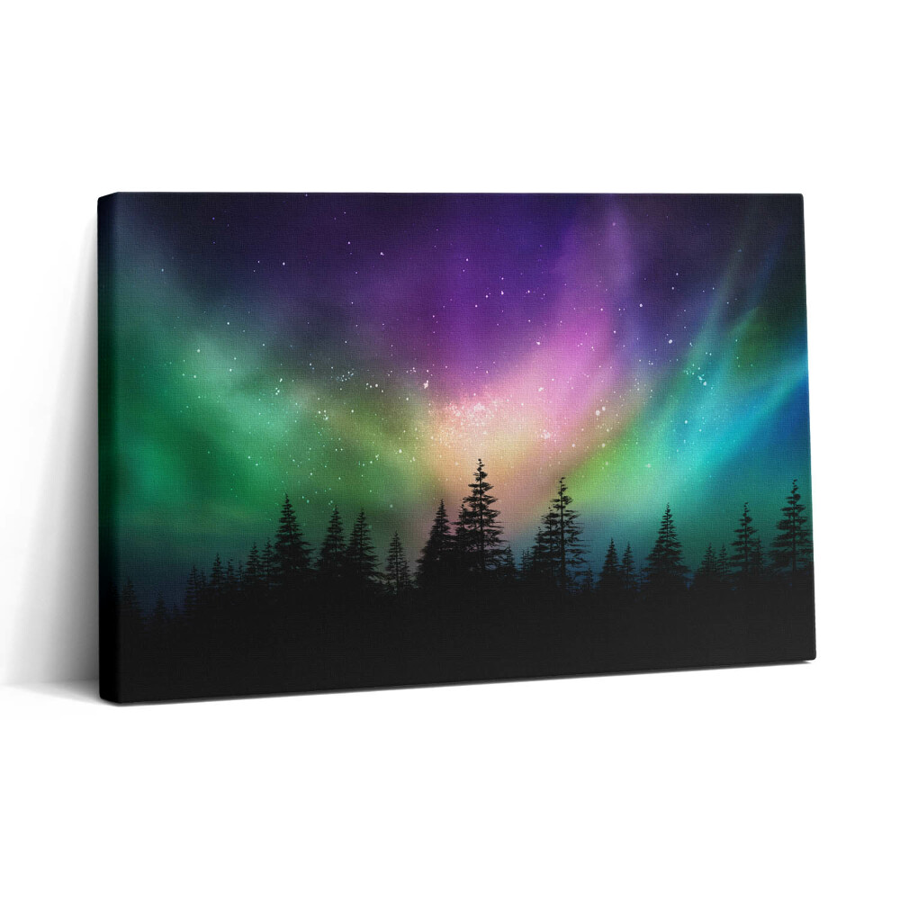 Tablou canvas 30x20 Aurora boreală