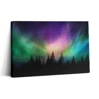 Tablou canvas 30x20 Aurora boreală