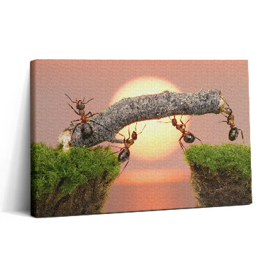 Tablou canvas 30x20 Furnici pe un trunchi de copac