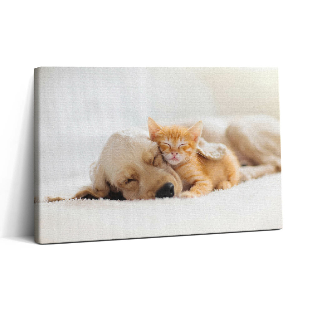 Tablou canvas 30x20 Animale care dorm, pisică și câine