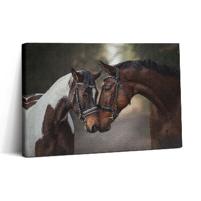 Tablou canvas 30x20 Portret de cai în pădure