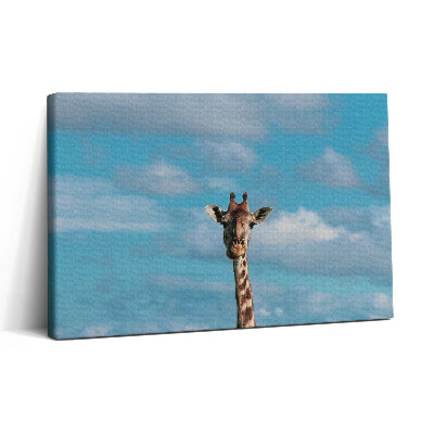 Tablou canvas 30x20 Cap de girafă pe cer