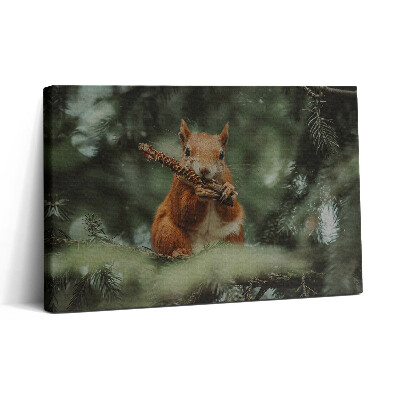Tablou canvas 30x20 Veveriță sălbatică din natură