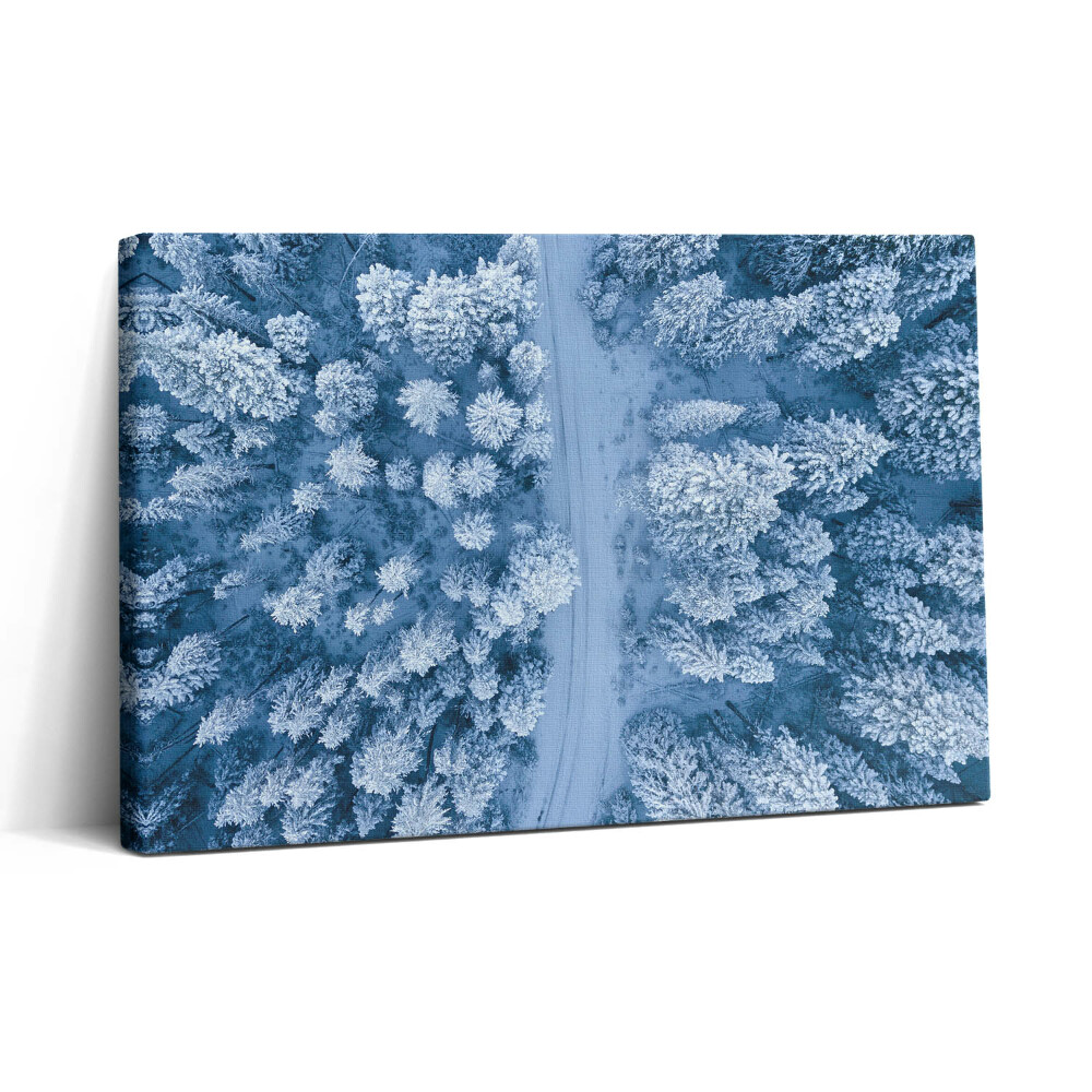 Tablou canvas 30x20 Vedere aeriană a pădurii. Drone