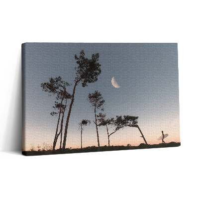 Tablou canvas 30x20 Semilună și copaci