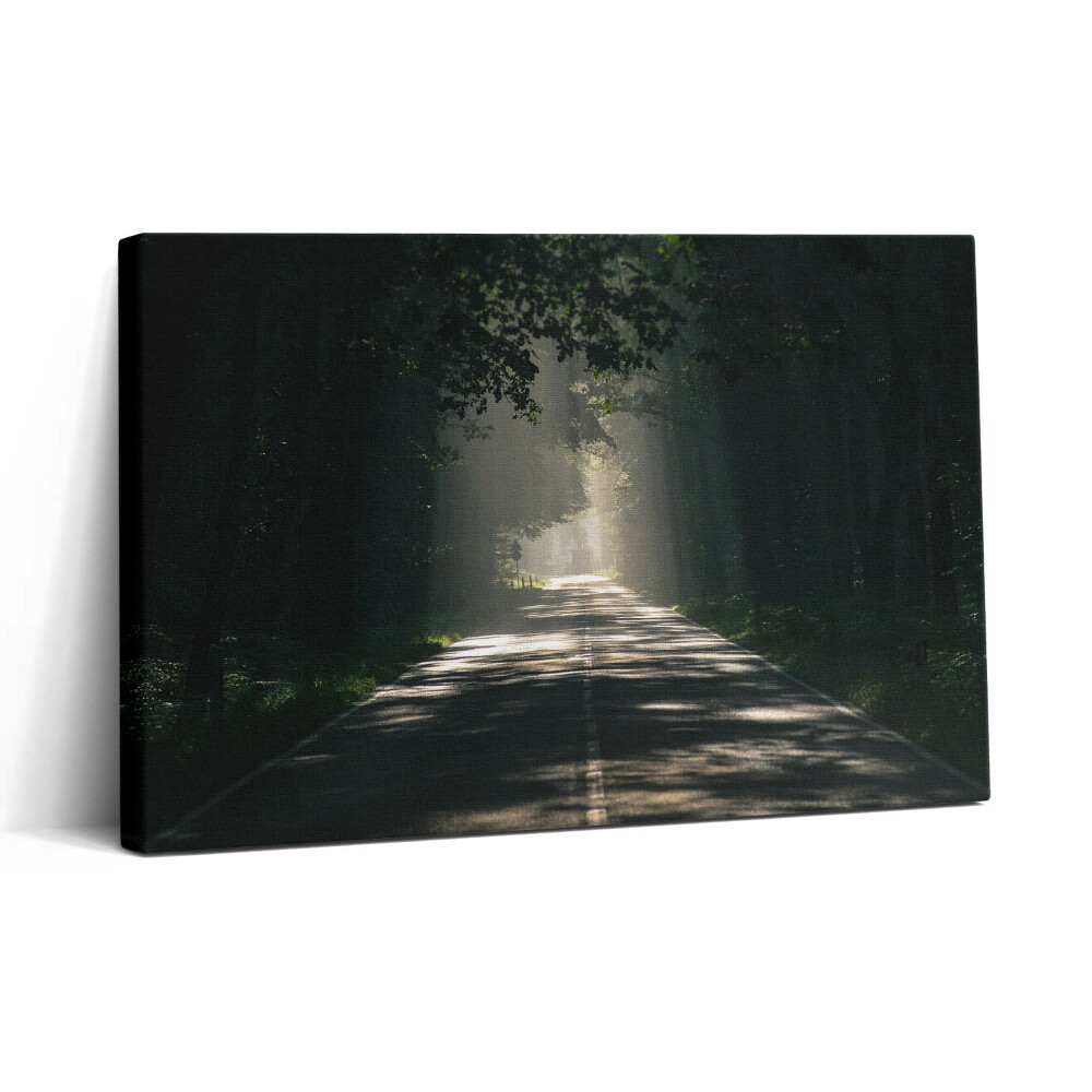 Tablou canvas 30x20 Drum forestier și fâșii de soare