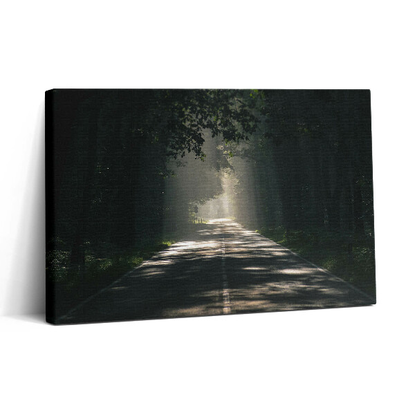 Tablou canvas 30x20 Drum forestier și fâșii de soare