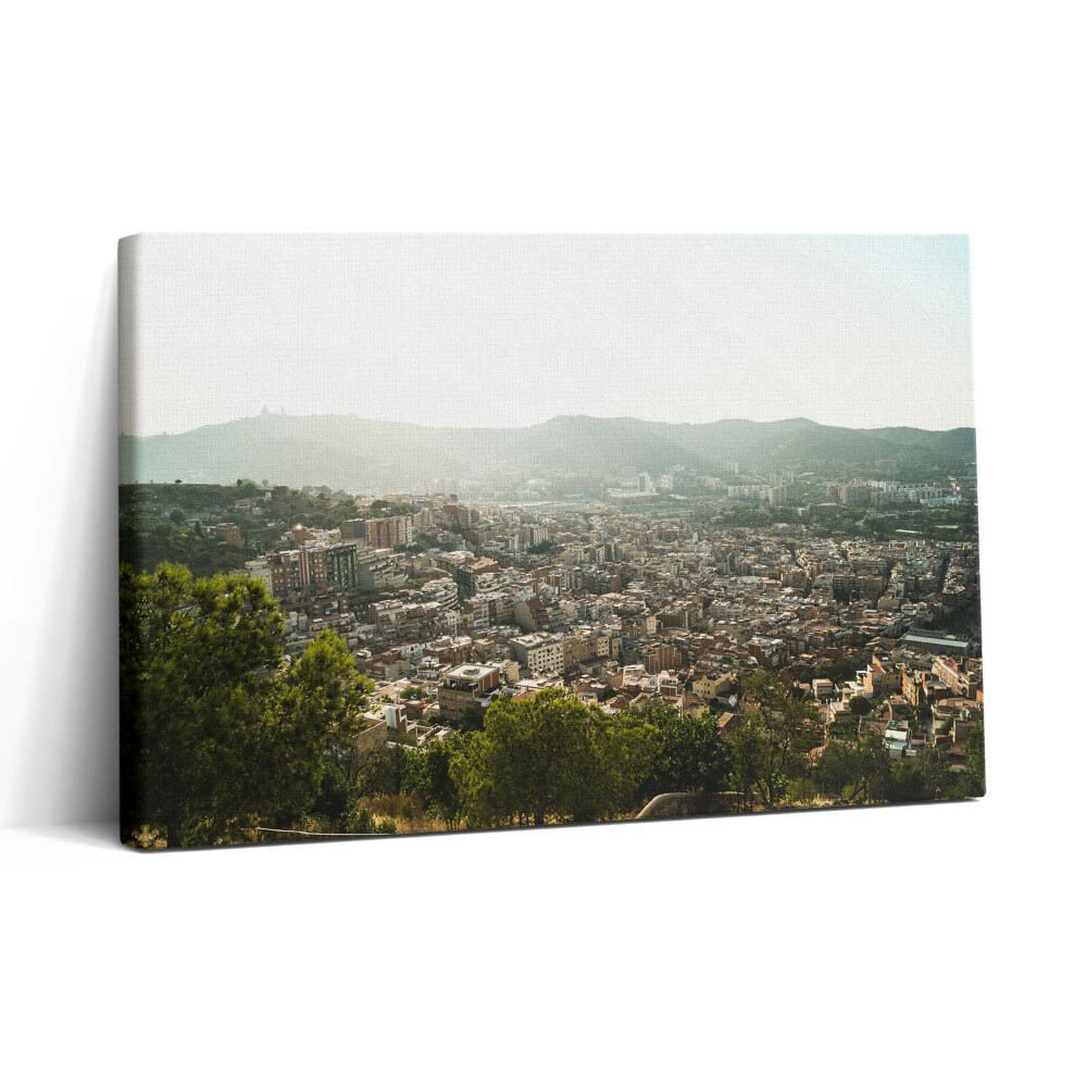 Tablou canvas 30x20 Panorama Barcelonei pe Montjuic