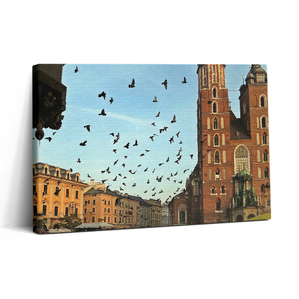 Tablou canvas 30x20 Porumbei în orașul Cracovia