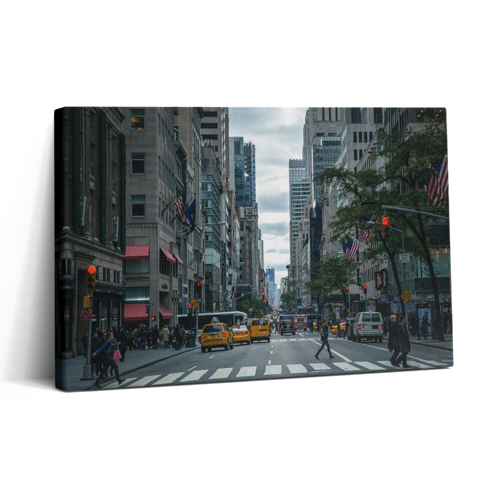 Tablou canvas 30x20 Taxi stradal din New York