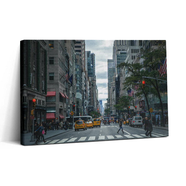 Tablou canvas 30x20 Taxi stradal din New York
