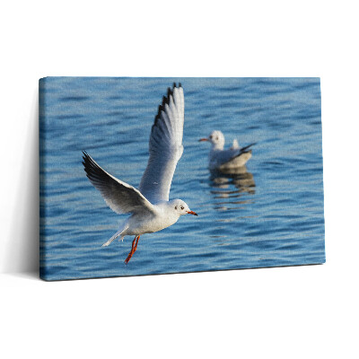 Tablou canvas 30x20 Pescărușii din Gdynia