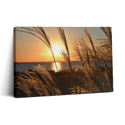 Tablou canvas 30x20 Grâul în ora de aur