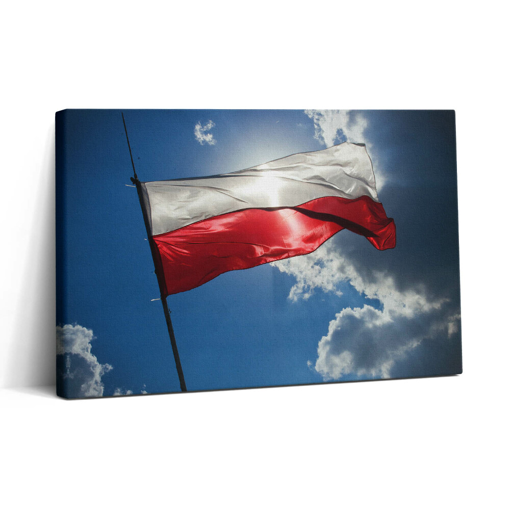 Tablou canvas 30x20 Steagul Poloniei pe cer