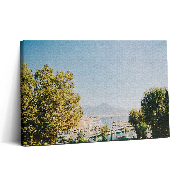 Tablou canvas 30x20 Copaci verzi în Napoli